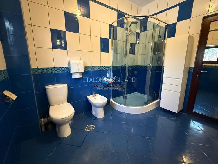 Casa 240 mp utili P+M, 9000 mp teren, Girov, Jud. Neamt - 7