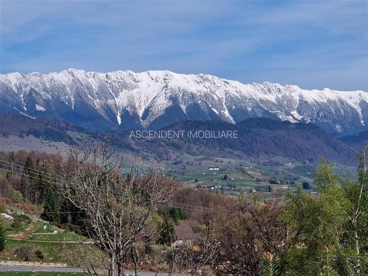 7.000 mp, pozitie spectaculoasa, fara vecini, Fundatica, Brasov - 5