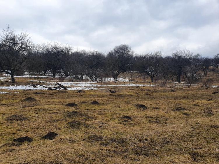 Teren Construcții extravilan de 10000 mp, în Bod - 6