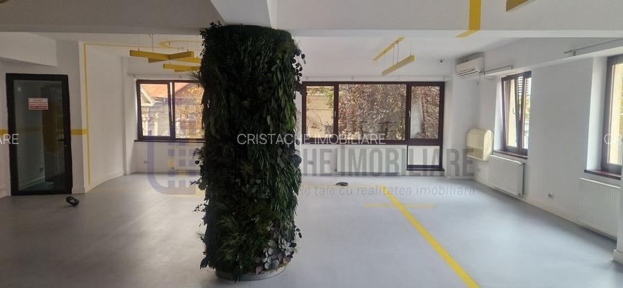 Vila P+2, suprafata 380 mp, Principatele Unite, Piata Unirii - 7