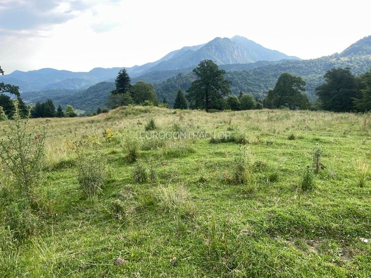 Teren intravilan dezvoltare turistica Hoteluri/Pensiuni S+P+2E+M - 11