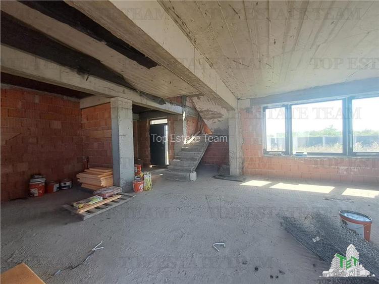 Vanzare Vila Tudor P+1+ casa parter /curte 1000 mp - 10