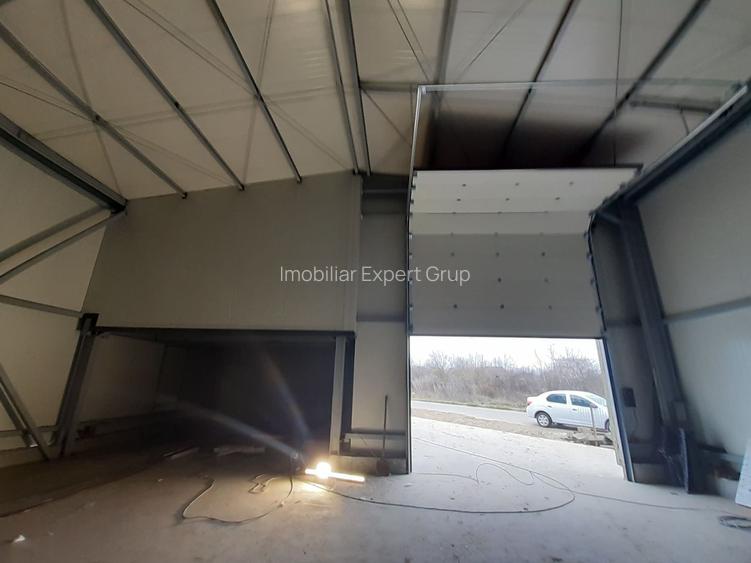 Hala noua 293mp - zona Drumul Intre Tarlale - Sos. Garii Catelu - 5