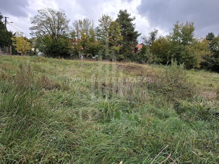 Teren intravilan cu Puz si priveliște deosebită, spre Cetatea Cisnădioara - 9