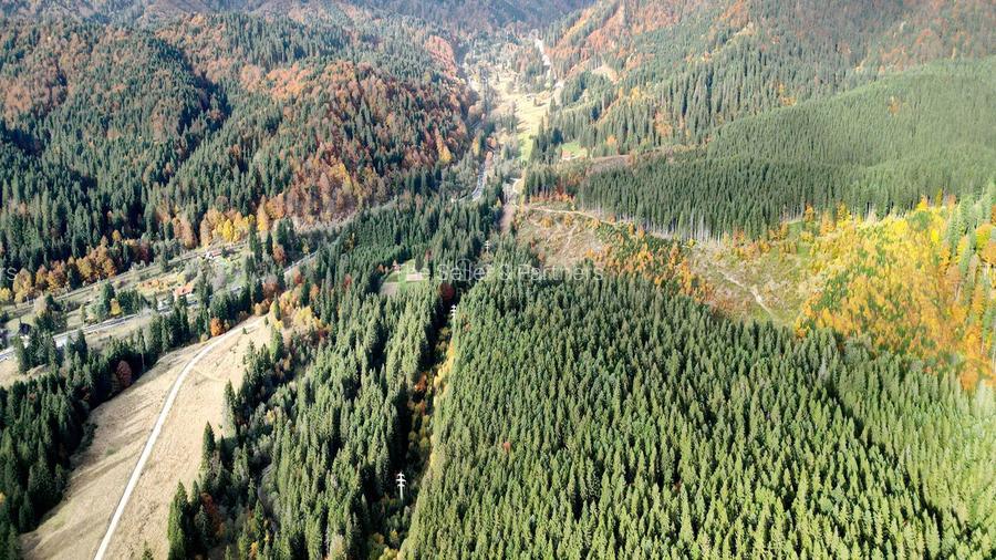 Poiana lui Manole - teren Intravilan - 29