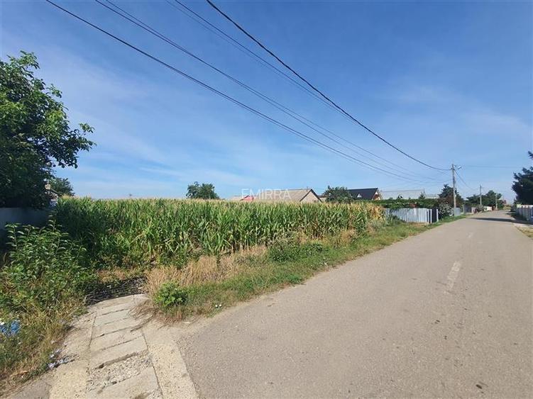 Teren 4900 mp de vanzare in sat Holt, Letea Veche, Bacau - 3