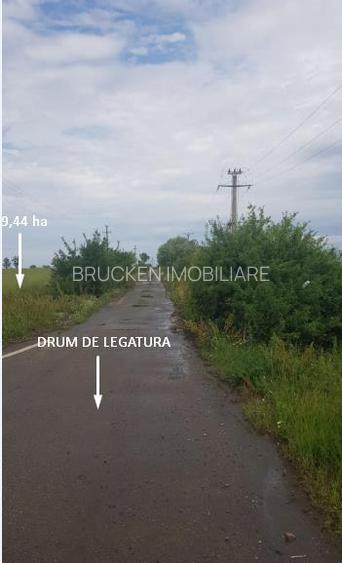 TEREN CU POTENTIAL INDUSTRIAL/ SERVICII | 9,44 HA | ARAD, PECICA - 6