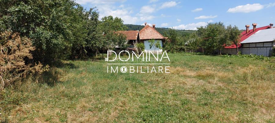 Vanzare casa traditionala, teren 1583 mp, Polovragi - 9