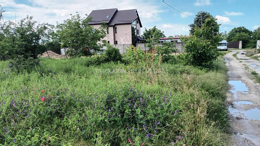 Domnesti, teren intravilan 828/24, strada Doinei, bun duplex, utilitati, 53000 e - 2