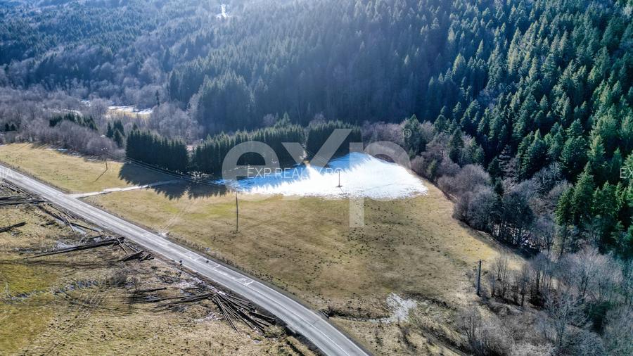 Teren extravilan 19.200 mp – DN1A Săcele, Brădet | Front stradal 130 ml - 2