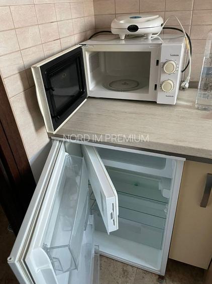 Apartament 2 camere Bucurestii Noi - 10