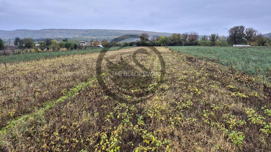 Teren intravilan de vanzare | 3.084mp | Plavia - Urlati | Comision 0% - 2