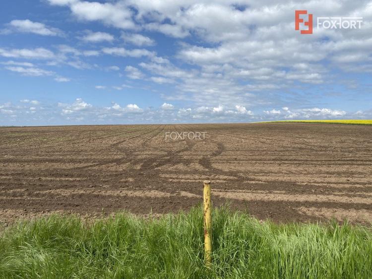 Teren Agricol | Opurtunitate investitie | Sananadrei - ID V713 - 4