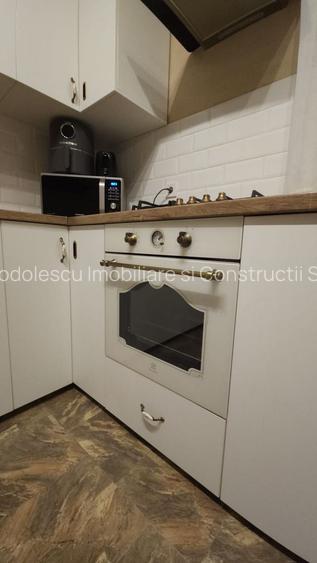 Vila individuala la 30 km de Timișoara - 25