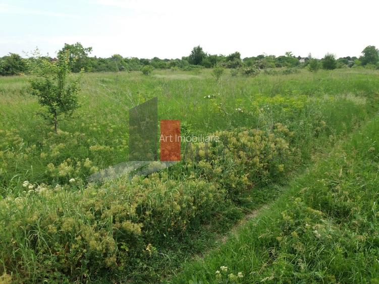 Teren Buftea cu iesire la lac - 10