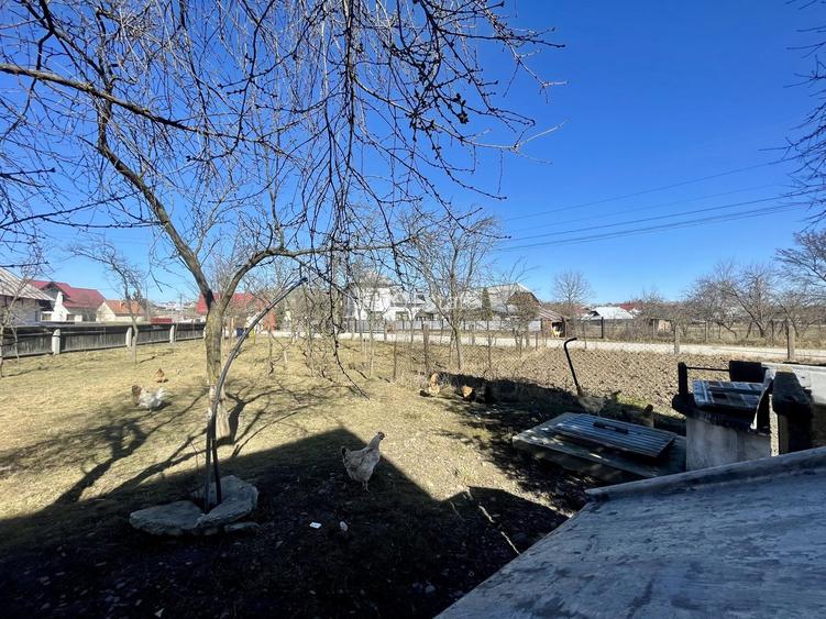 CASA RENOVATA + TEREN 3100 MP | CURTE SI GRADINA | FRATAUTII NOI - 22