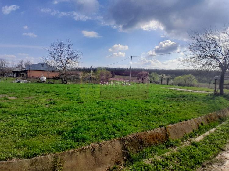 DE VANZARE TEREN 3400 MP IN SAT PODU ILFOVAT / COM BUTURUGENI (GR) - 4