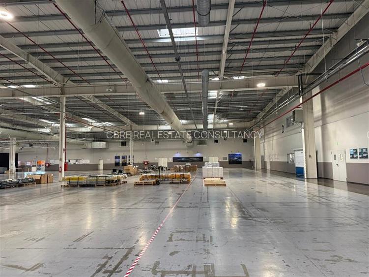 Închiriere Platformă Industrială Majoră în Ineu - 7