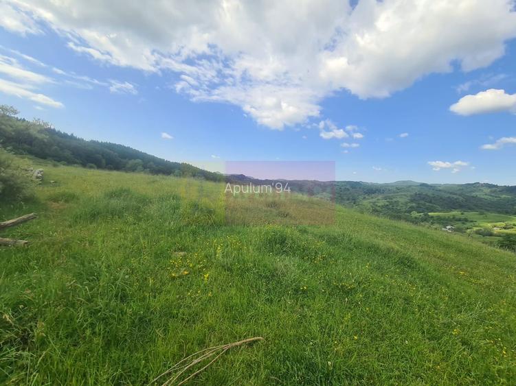 Teren intravilan de vanzare in Breaza (dezvoltare imobiliara) - 8