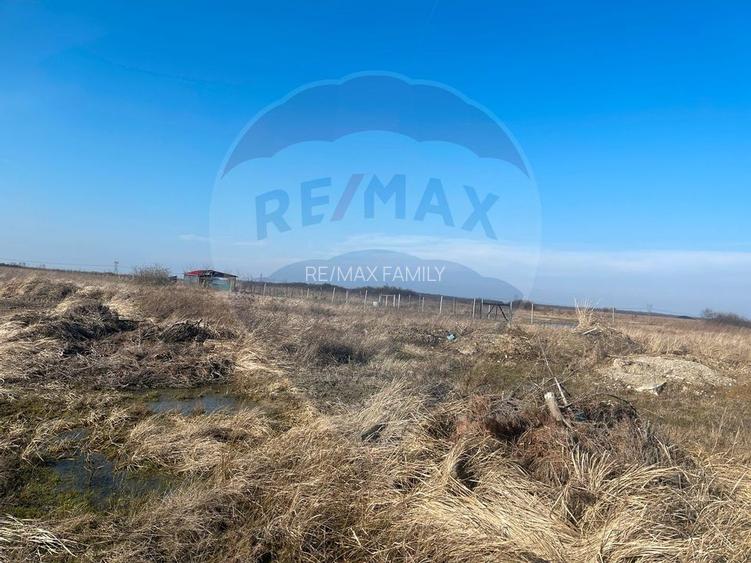 Teren Cihei / 1.632mp/ langa Fundatia Nesu - 7