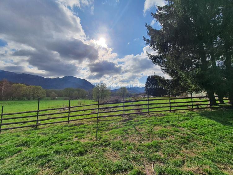 Teren Rasnov – Predeal zona de pensiuni - 7