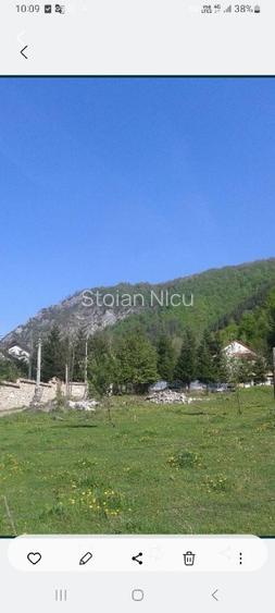 Vând teren Lepsa, 1000 mp - 2