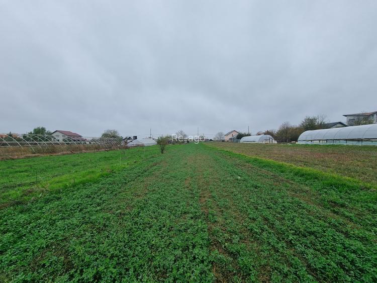 TEREN CASA/ MOGOSESTI GIURGIU - 3