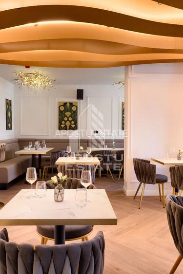 Spatiu comercial de inchiriat zona Complex Studentesc 156 mp - 10