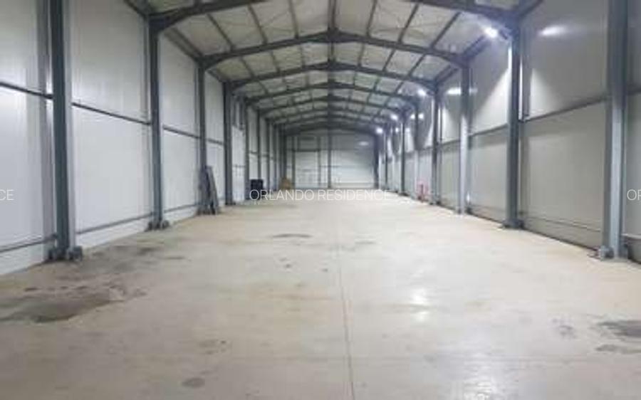 Hală nouă de închiriat în Domnești – 300 mp, 1990 €/lună promoțional - 7