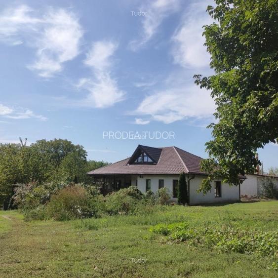 Pădure 268 ha in jud. Bacau, teren, constructii - 2