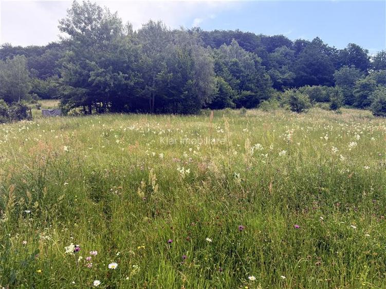 Comision 0%teren Somesu Rece zona Cabana Bradet - 7