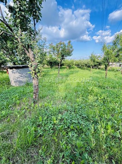 VILA CU 14 CAMERE SI 3405 MP TEREN IN SANMARTIN - 8