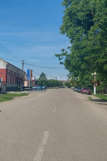 De vanzare-loc de casa Vladimirescu la 10 min de Arad - 4
