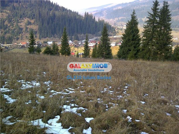 Teren pentru Complex Turistic - 12 730 mp  - Vatra Dornei - 5