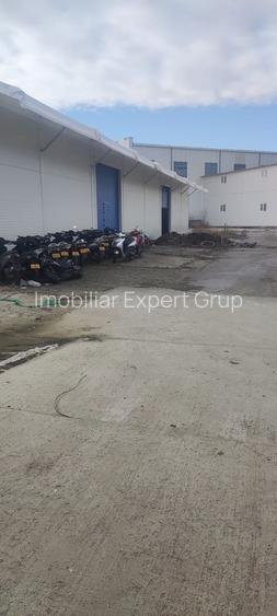 Hala noua 600 mp Giurgiului ( Progresul ) - 7