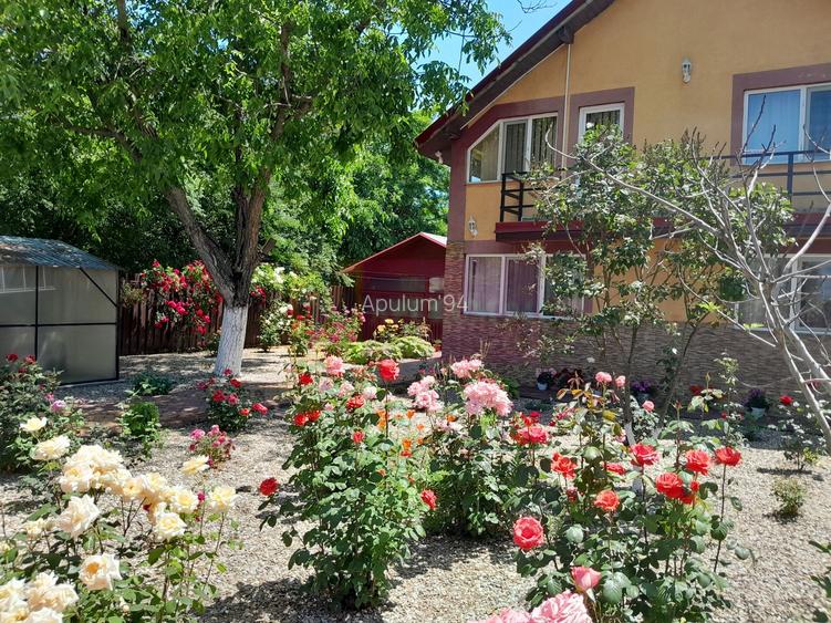 VANZARE CASA 5 CAM P+1 IN SAT MOVILITA (IL) - 9