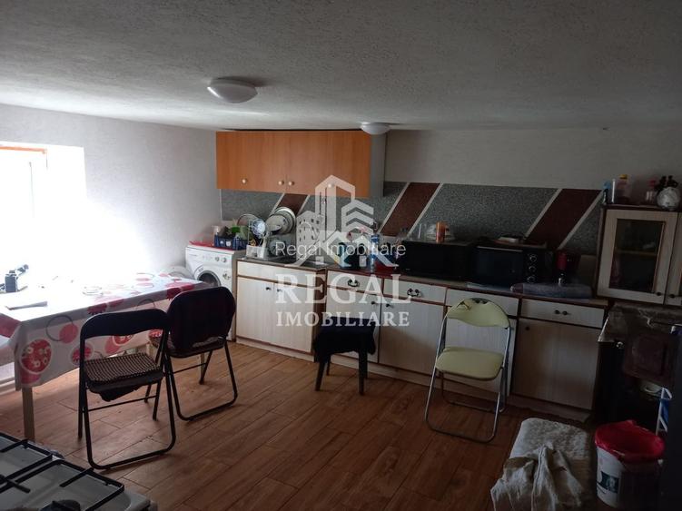 Două case de vânzare – Cerisor – teren generos 6996 mp - 4