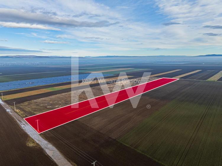 Teren exceptional pentru investitii industriale langa Brasov - 8