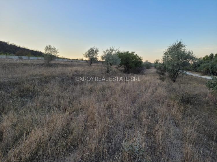 Teren Cernavodă 14.000 m/4 euro m - 4