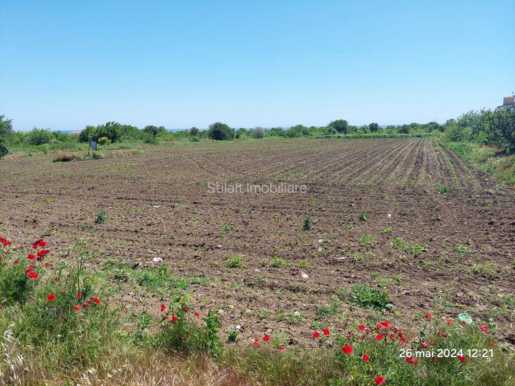 Teren  intravilan  540 mp / Vama Veche - 7