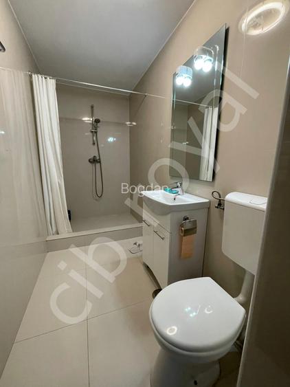 Inchiriez gasoniera zona Unirii-Alba Iulia,Bd. Unirii 57 - 13