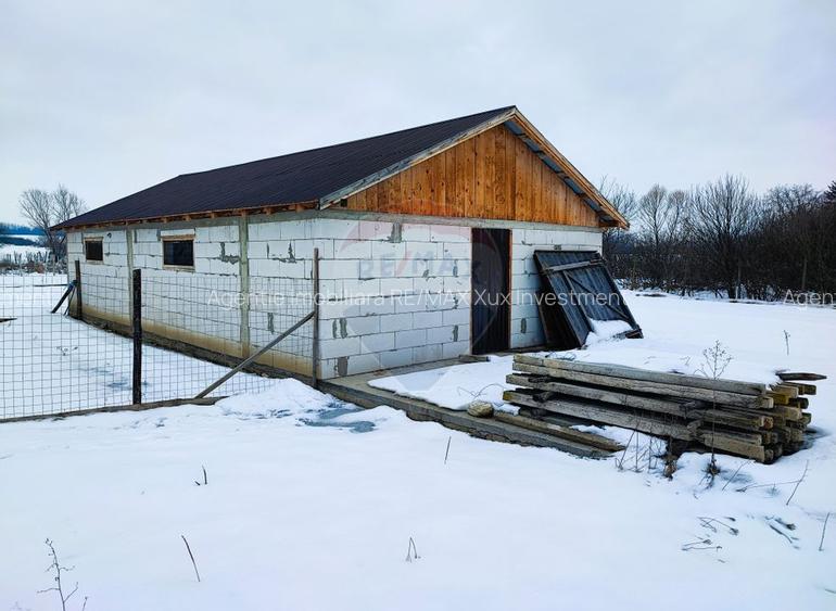 Teren intravilan 9.574 mp în Săliște, poziție strategică, ideal invest - 5