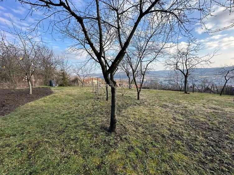 Vand Casa PLATOUL Cornesti str. CORNESTI- teren 1150 mp - 2