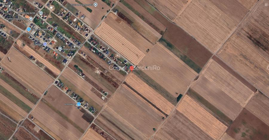 Teren Extravilan In Rate Primaverii Com. Berceni | 4065mp | #EG19 - 3