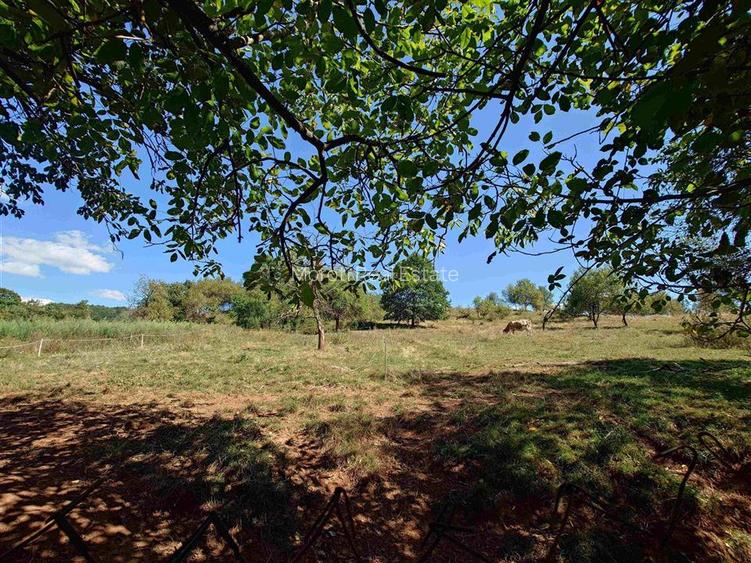 Teren intravilan cu potential, casa si anexe in Lunca - 12