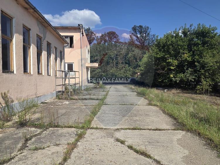 Spațiu industrial 15435 mp. de vânzare in Tinca. - 7