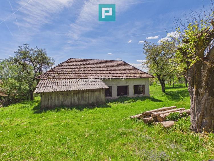 Proprietate rară cu 24.270 mp, în Măgulicea, Arad! - 34