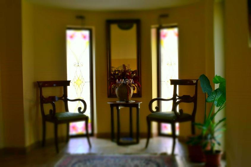 DE VANZARE Villa  Boutique  Hotel4*Zona istorica Timisoara - 4