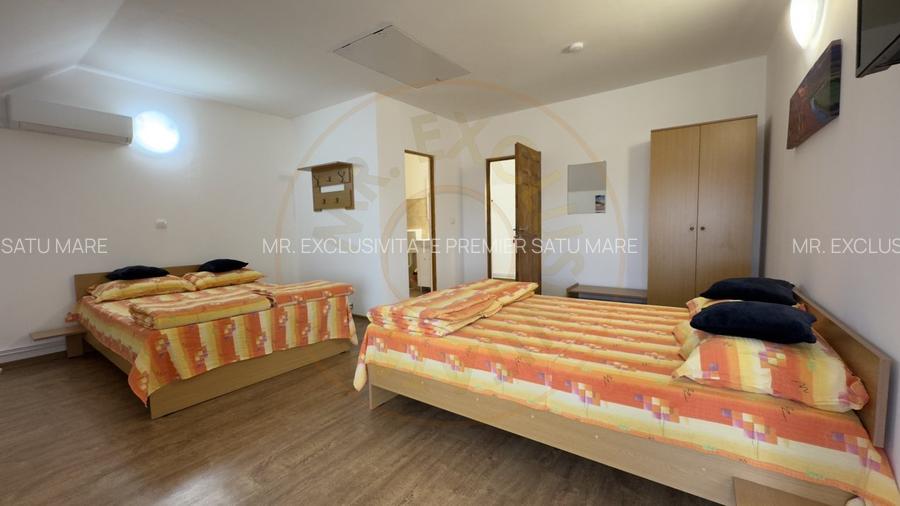 Oportunitate de investitie - Pensiune in statiunea Tasnad, jud. Satu Mare - 7