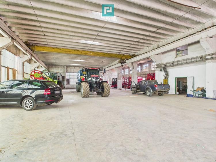 Complex industrial cu hale și teren  în Orțișoara - 9